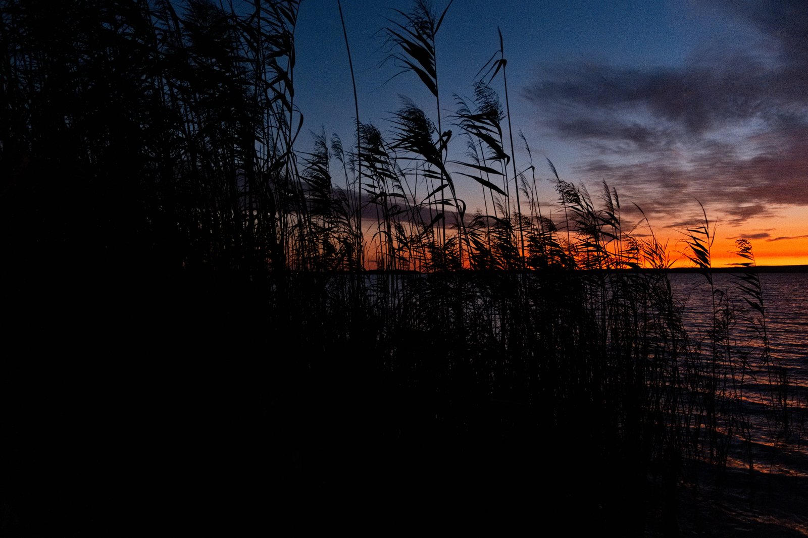 10 - cabras-paese0008-1 1