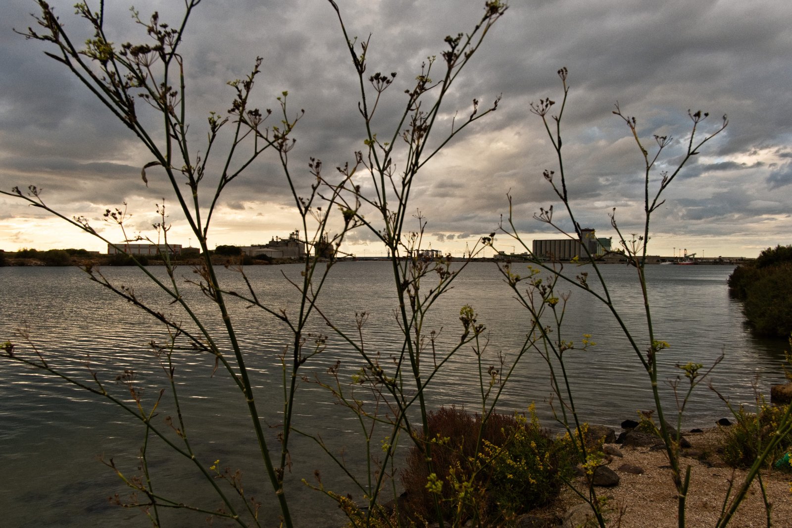 16 - porto-industriale-oristano0010-1 1