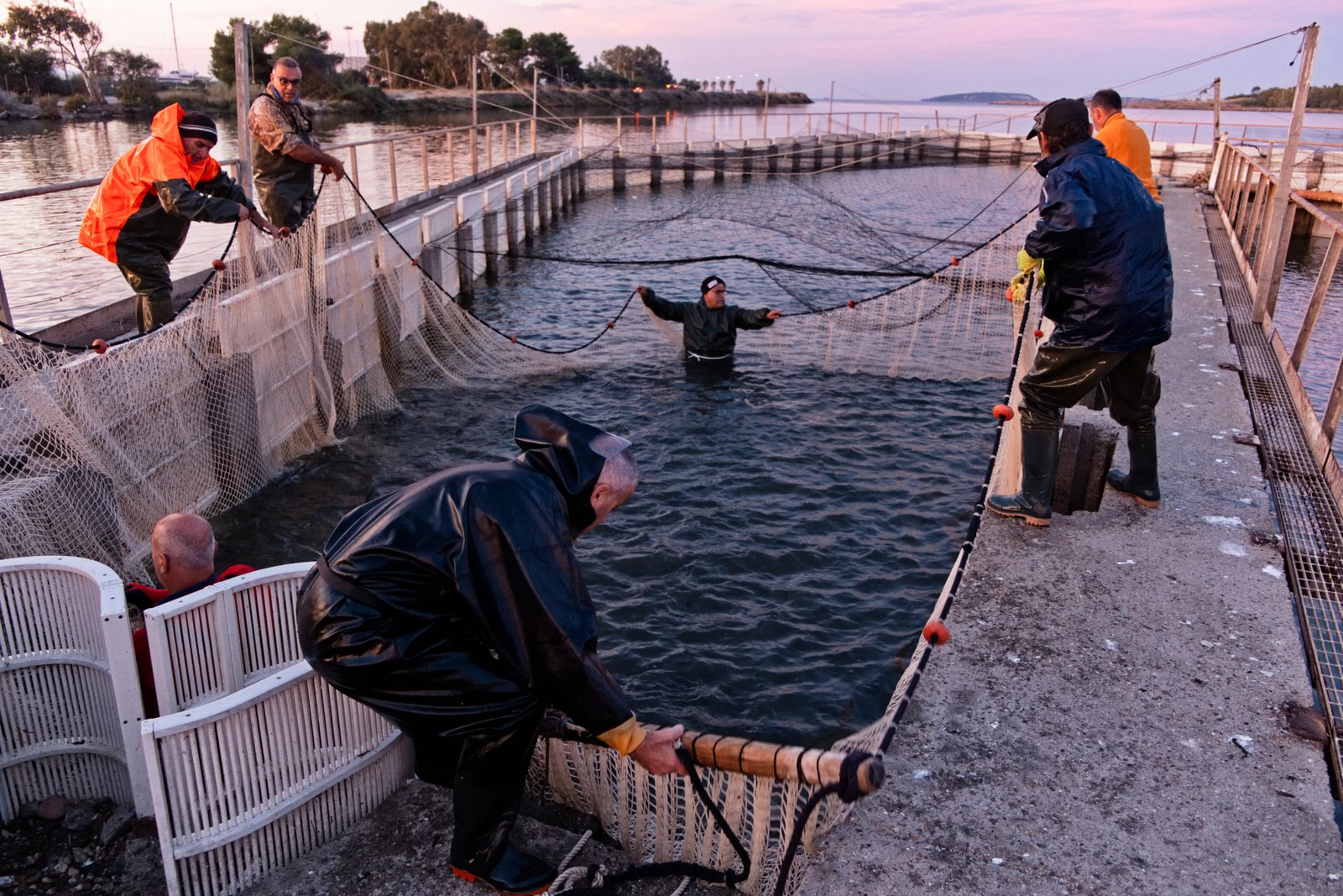 2 - sa-madrini-pesca0011-1 1