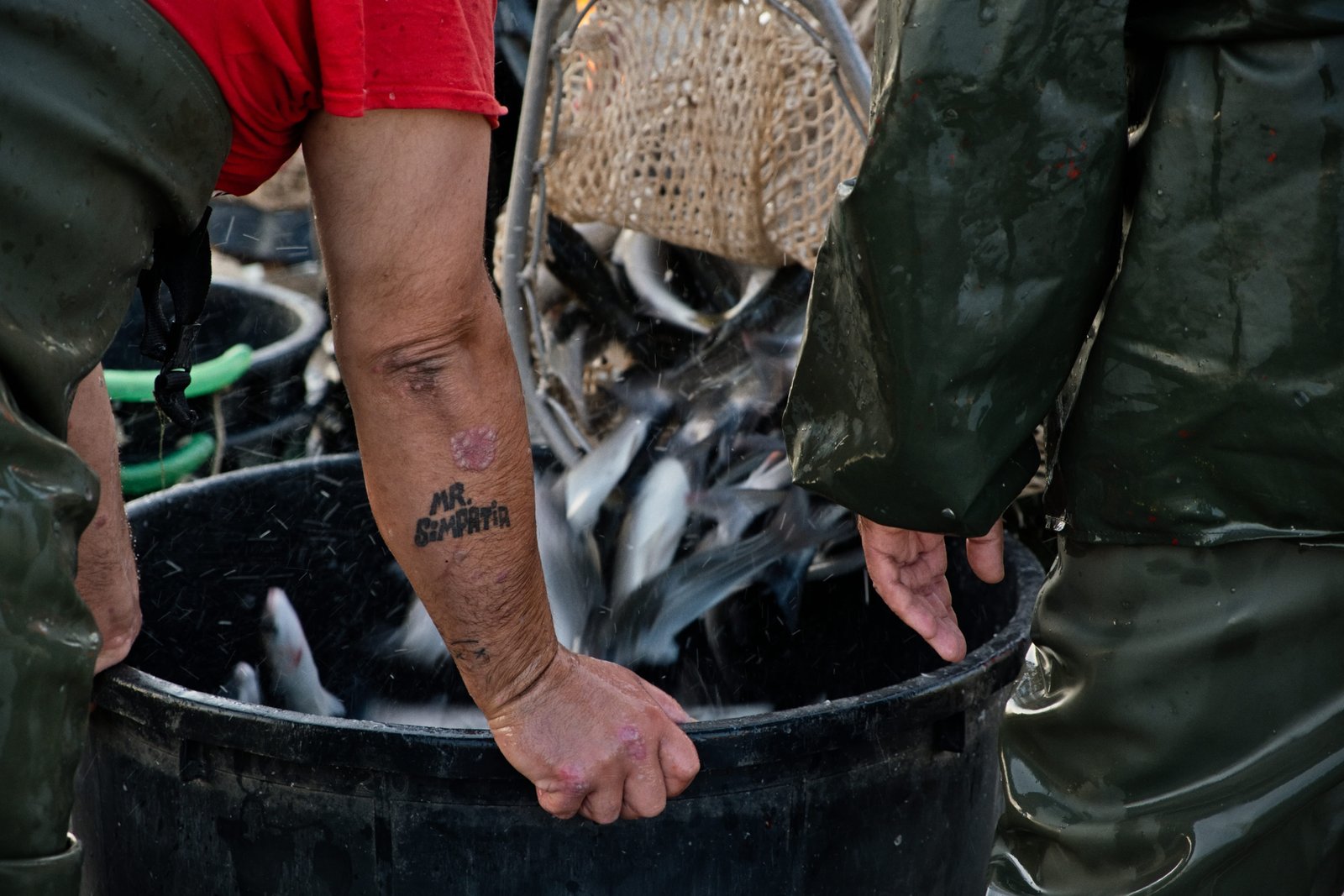 3 - sa-madrini-pesca0050-1 1